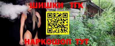 индика Ижевск