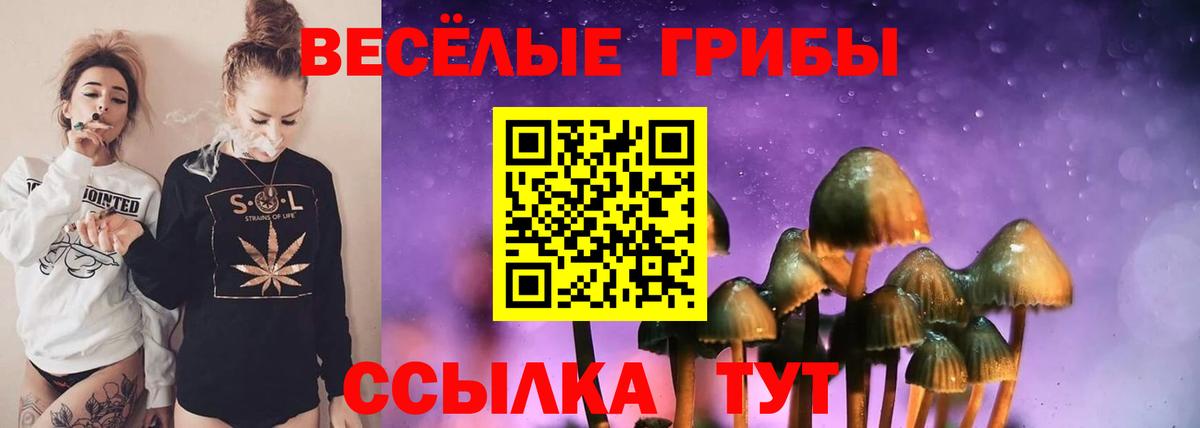 Псилоцибиновые грибы прущие грибы  как найти   Грязи  Вход с VPN 
